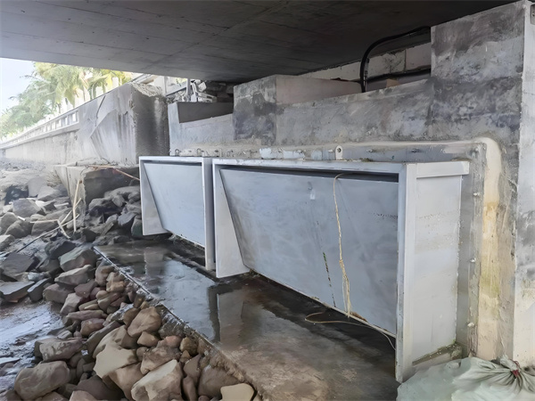 ���D���T