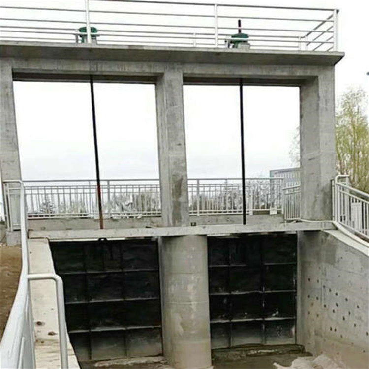 ƽ���T�F�l�T