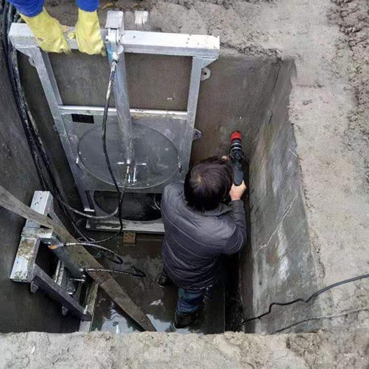 ���_ʽ�{�����T ���P��{�����T �T�F���T